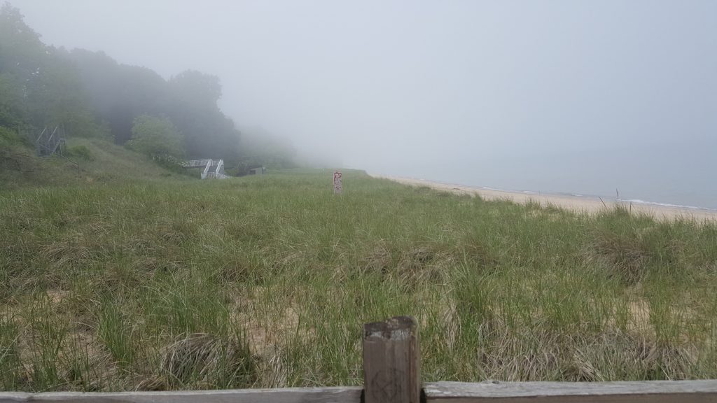 Firefly Resort Beach Fog