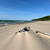 FireFly Resort - New Buffalo Vacation Rentals