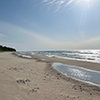 FireFly Resort - New Buffalo Vacation Rentals